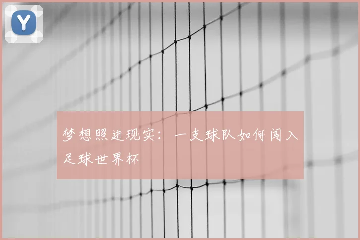 梦想照进现实：一支球队如何闯入足球世界杯