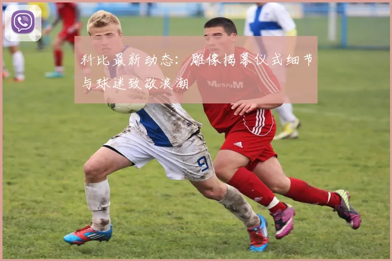 科比最新动态：雕像揭幕仪式细节与球迷致敬浪潮