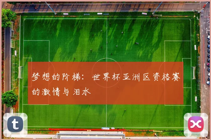 梦想的阶梯：世界杯亚洲区资格赛的激情与泪水