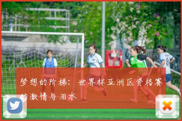 梦想的阶梯：世界杯亚洲区资格赛的激情与泪水