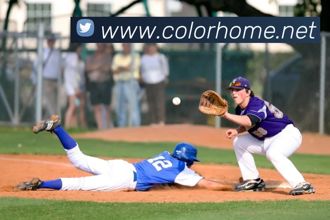 多媒体互动体验